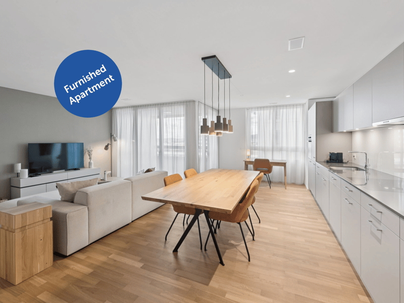 Möblierte Apartments mit Madrid Flair direkt im grössten Shoppingcenter der Schweiz! (1)