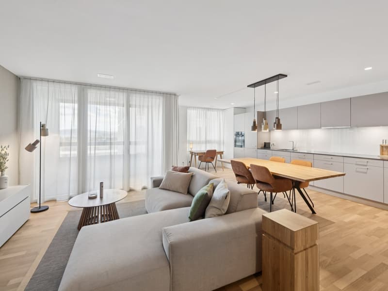 Möblierte Apartments mit Madrid Flair direkt im grössten Shoppingcenter der Schweiz! (2)