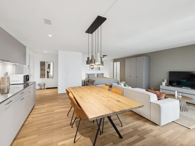 Möblierte Apartments mit Madrid Flair direkt im grössten Shoppingcenter der Schweiz! (3)