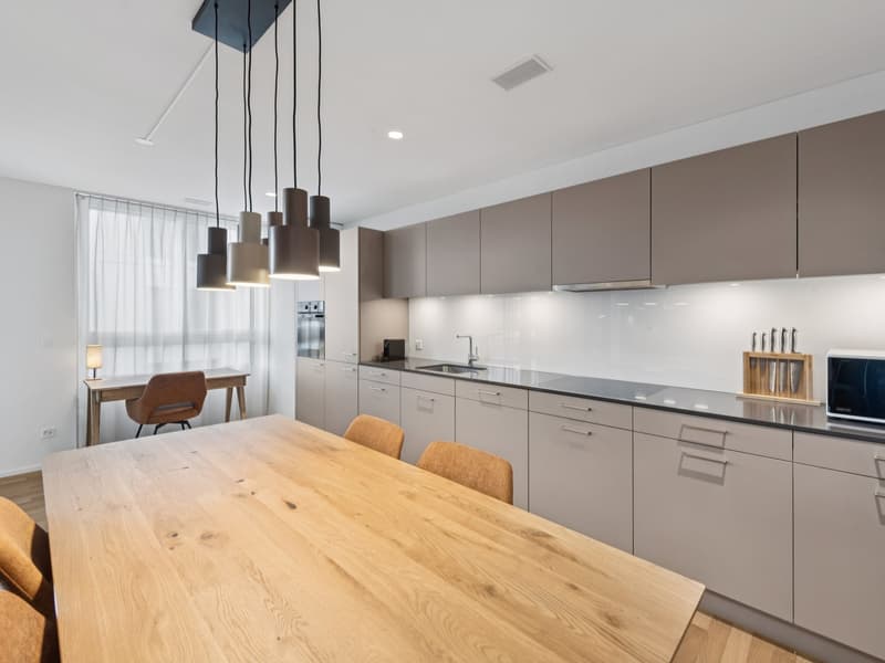 Möblierte Apartments mit Madrid Flair direkt im grössten Shoppingcenter der Schweiz! (4)