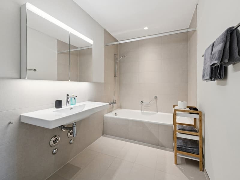 Möblierte Apartments mit Madrid Flair direkt im grössten Shoppingcenter der Schweiz! (13)
