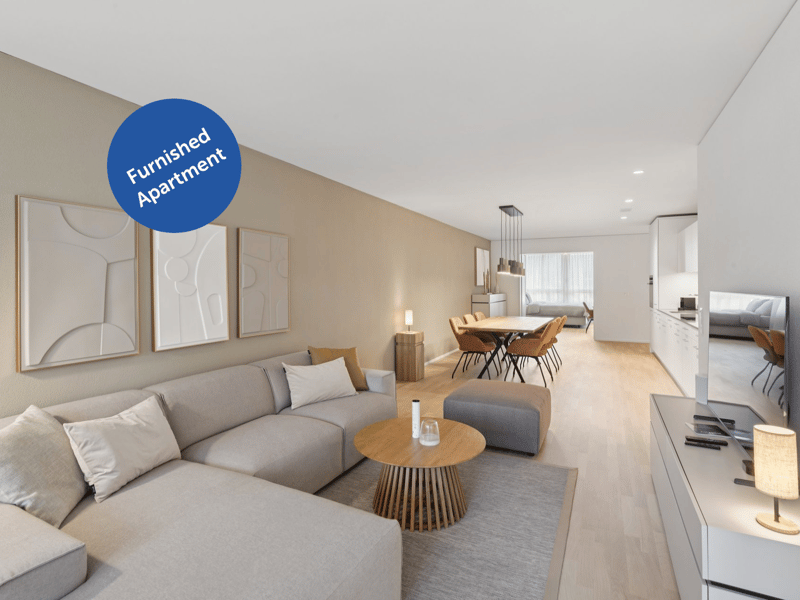Möblierte Apartments mit Madrid Flair direkt im grössten Shoppingcenter der Schweiz! (1)