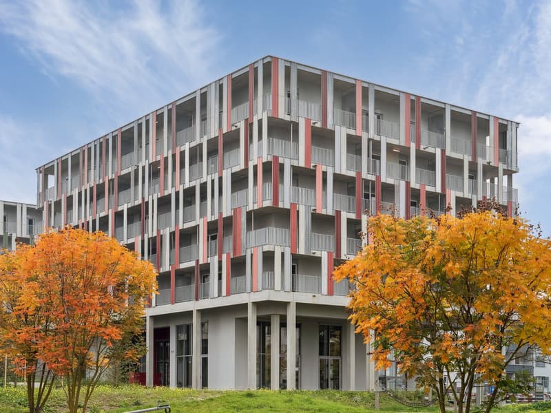Design-Apartments im Lisbon-Style Direkt am Bahnhof Muttenz (11)