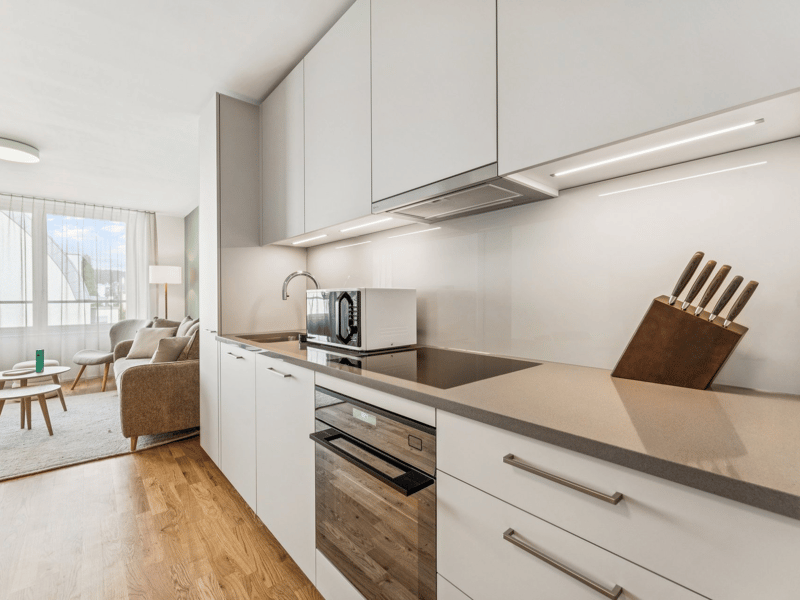 Möblierte Apartments im Oslo Style | LOU Luzern (4)