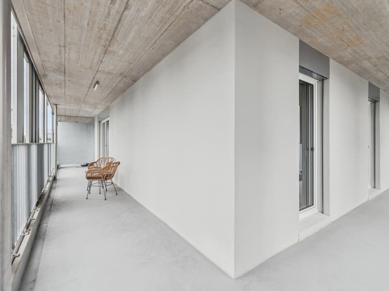 Design-Apartments im Lisbon-Style Direkt am Bahnhof Muttenz (9)