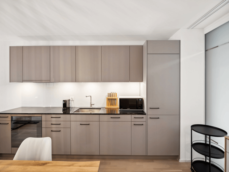 Basel-Aesch - Hochwertig möblierte Apartments nahe ISB Campus (4)