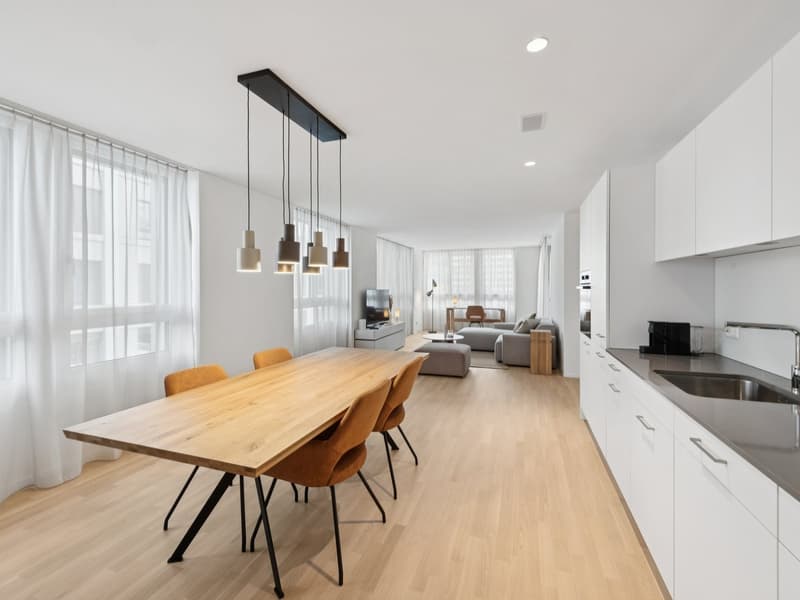 Möblierte Apartments mit Madrid Flair  direkt im grössten Shoppingcenter der Schweiz! (3)