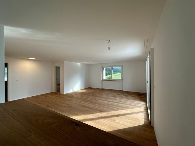 Exklusive 4,5 Zimmer-Galeriewohnung in St. Silvester (3)