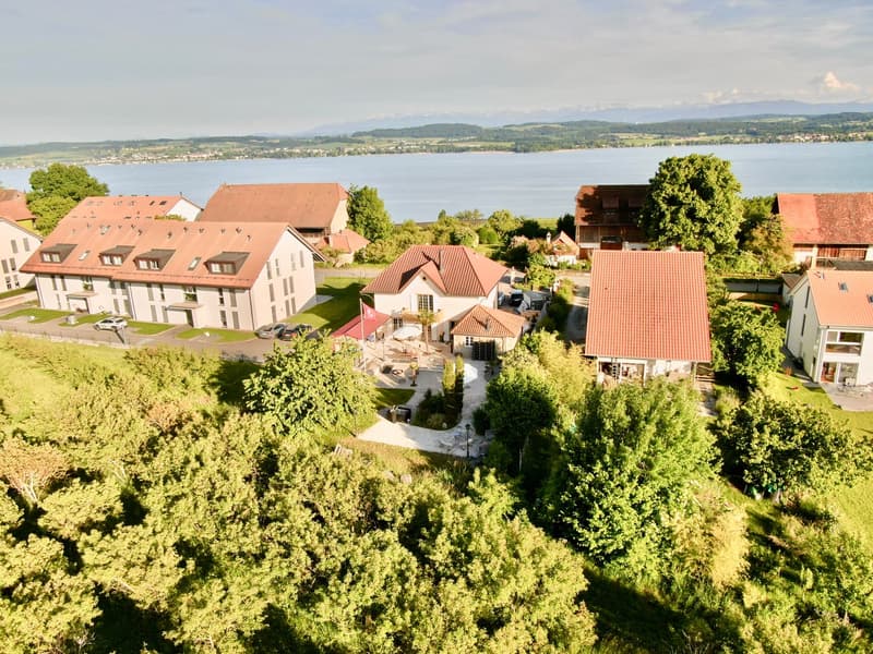 Verkauf einer aussergewöhnlichen 9-Zimmer-Villa im Stil der Belle Époque (4)