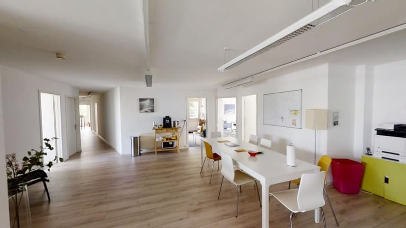 Spacious 12-room offices with balcony and panoramic view in Vevey with 4 parking spaces (3)