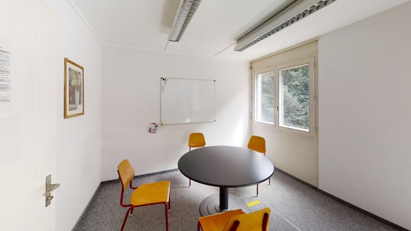 Spacious 12-room offices with balcony and panoramic view in Vevey with 4 parking spaces (8)