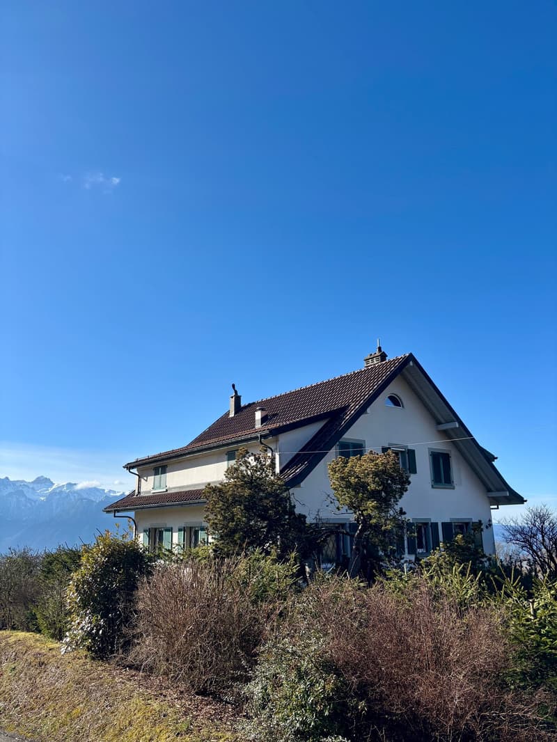 Magnifique Villa de 9 Pièces avec Vue Panoramique au Mont-Pèlerin (3)