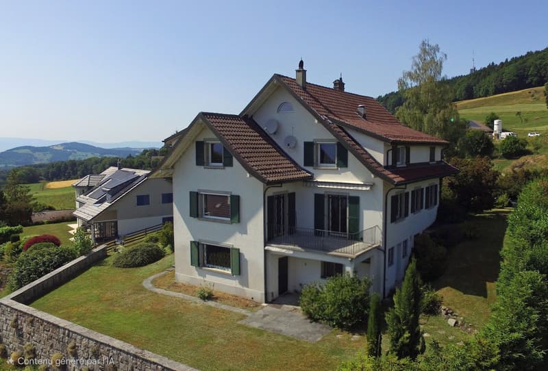 Magnifique Villa de 9 Pièces avec Vue Panoramique au Mont-Pèlerin (2)
