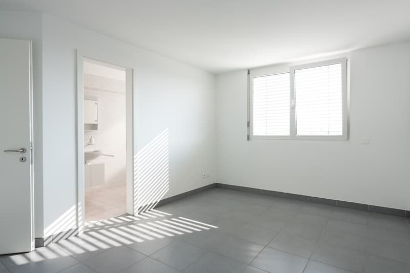 APPARTEMENT LUMINEUX ET SPACIEUX 3.5 PIÈCES EN VILLE (7)