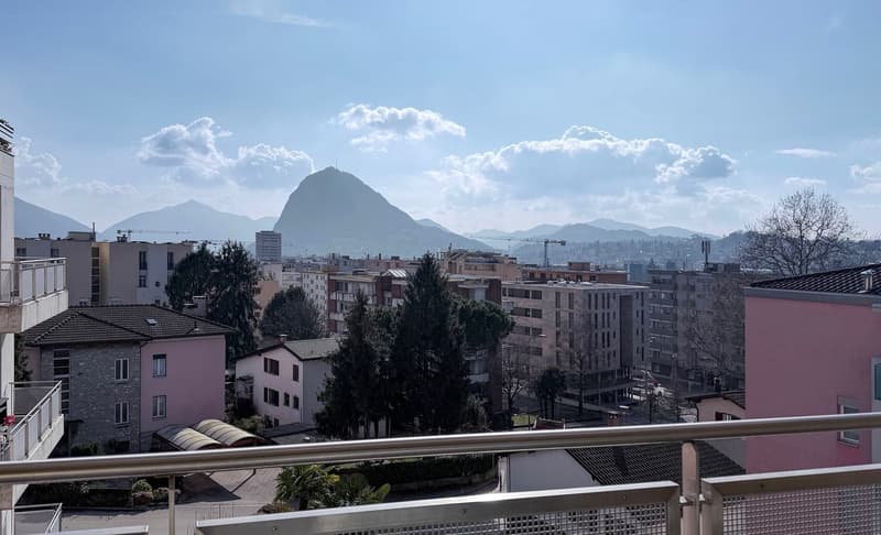 APPARTEMENT LUMINEUX ET SPACIEUX 3.5 PIÈCES EN VILLE (12)