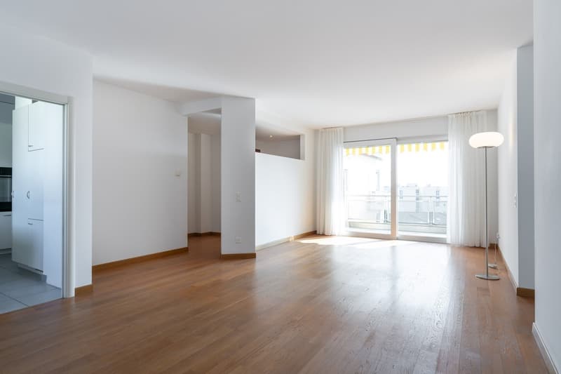 APPARTEMENT LUMINEUX ET SPACIEUX 3.5 PIÈCES EN VILLE (3)
