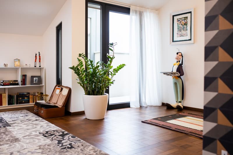 INTROUVABLE ET PRÉCIEUX DUPLEX AU COEUR DE LUGANO (8)