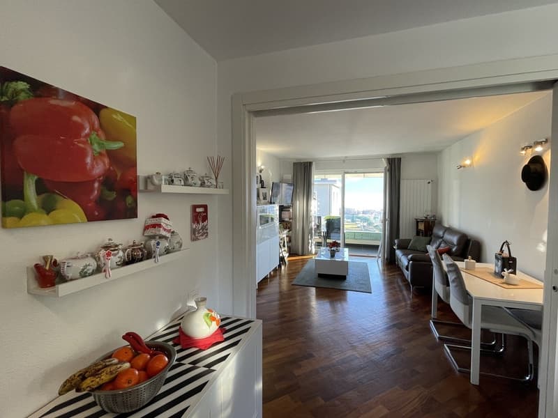 Appartement 2.5 pièces spacieux avec vue sur le lac et parking extérieur (6)