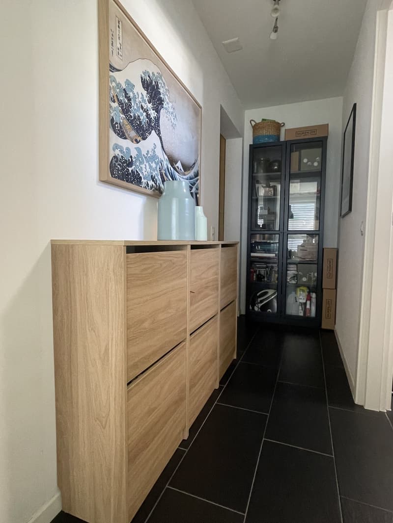Bel appartement 3.5 avec grande terrasse et 2 places de parking (10)