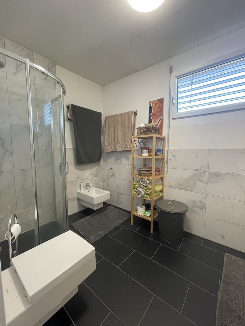 Bel appartement 3.5 avec grande terrasse et 2 places de parking (12)