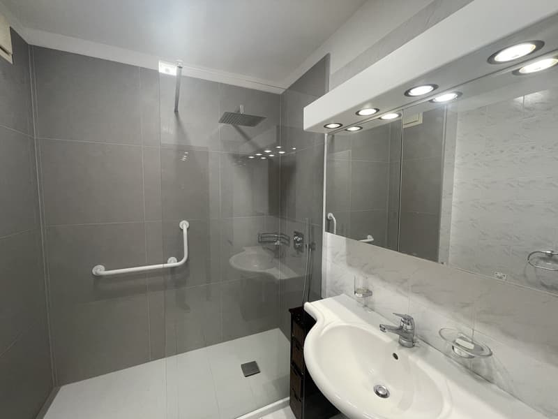 APPARTEMENT 4.5 AVEC VUE SPLENDIDE SUR LA VILLE ET PARTIELLE SUR LE LAC (11)