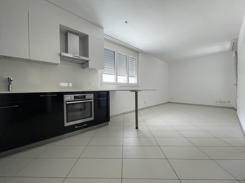 APPARTMENT 2.5 INCONTOURNABLE EN ZONE CENTRALE (7)