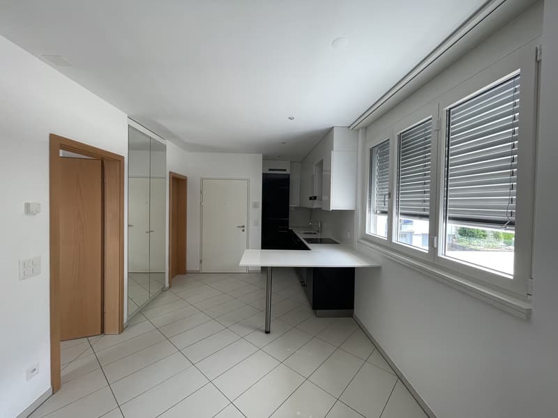 APPARTMENT 2.5 INCONTOURNABLE EN ZONE CENTRALE (3)