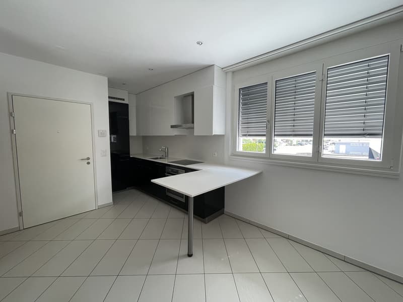 APPARTMENT 2.5 INCONTOURNABLE EN ZONE CENTRALE (8)