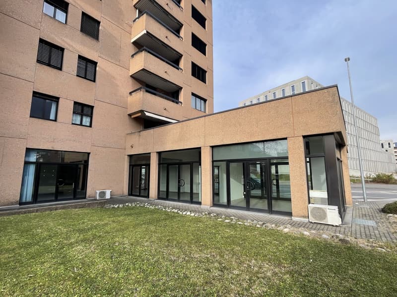 SPACIOUS COMMERCIAL PROPERTY WITH SHOWCASES IN A HIGH-TRAFFIC AREA (9)
