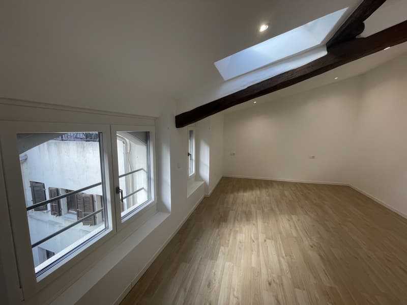 Jolie maisonnette 3.5 pièces complètement rénovée (7)