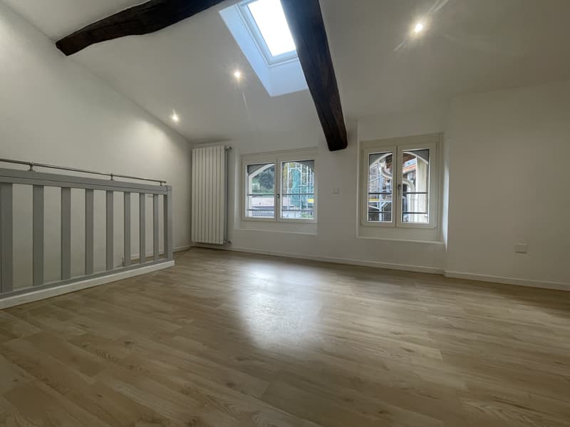 Jolie maisonnette 3.5 pièces complètement rénovée (6)