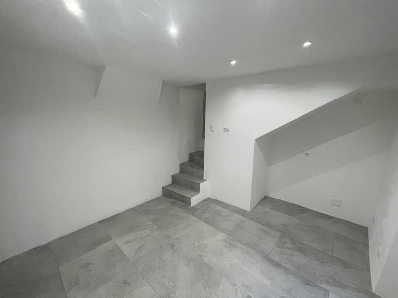Jolie maisonnette 3.5 pièces complètement rénovée (11)