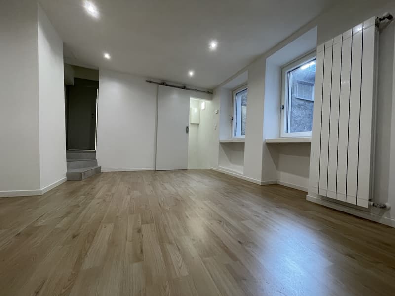 Jolie maisonnette 3.5 pièces complètement rénovée (1)