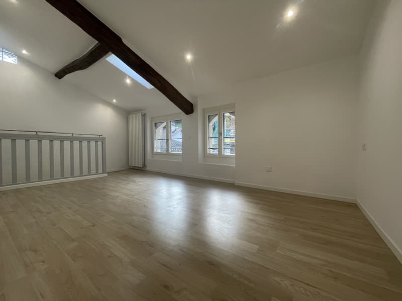 Jolie maisonnette 3.5 pièces complètement rénovée (8)