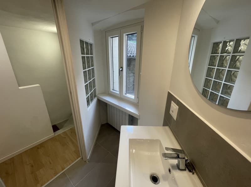 Jolie maisonnette 3.5 pièces complètement rénovée (5)