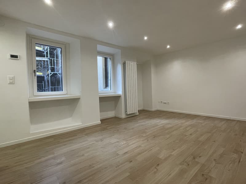 Jolie maisonnette 3.5 pièces complètement rénovée (2)
