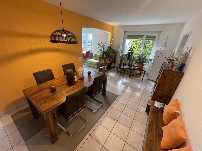 Appartement 4.5 intéressant avec piscine à Comano (6)