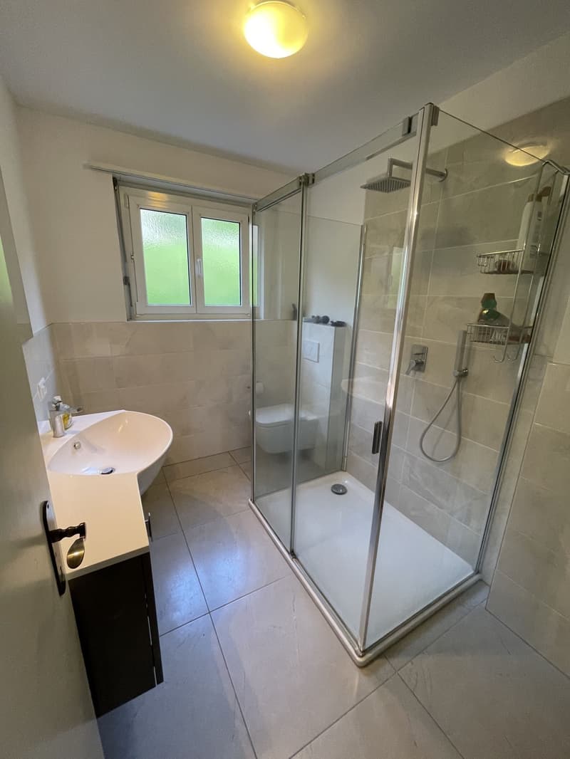 Appartement 4.5 intéressant avec piscine à Comano (11)