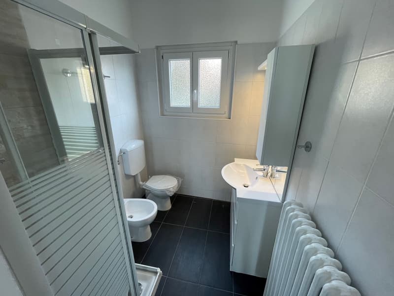 Appartements 2.5 et 3.5 complètement rénovés à Morbio Inferiore (13)