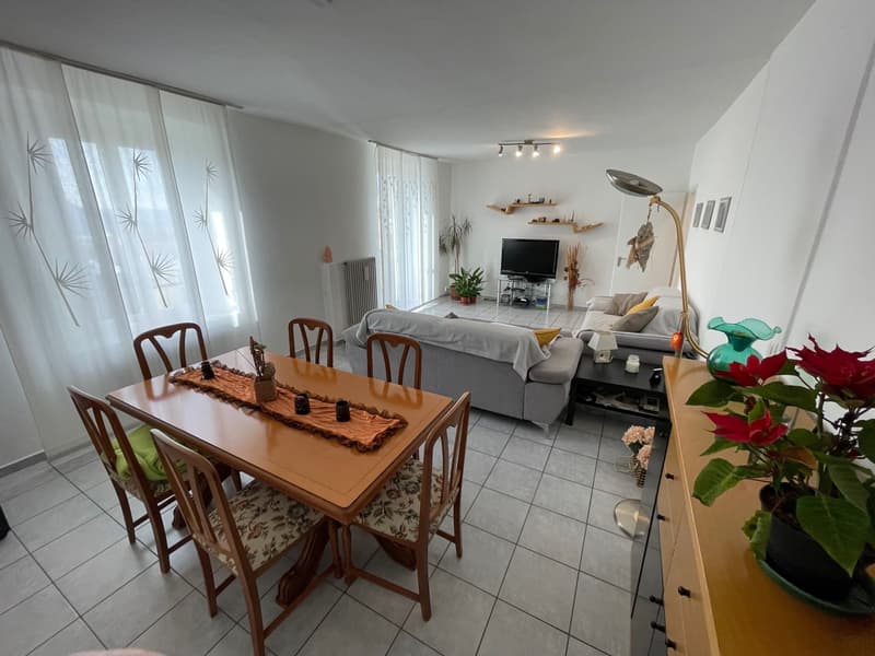 Maison intéressante 6.5 pièces avec jardin (9)