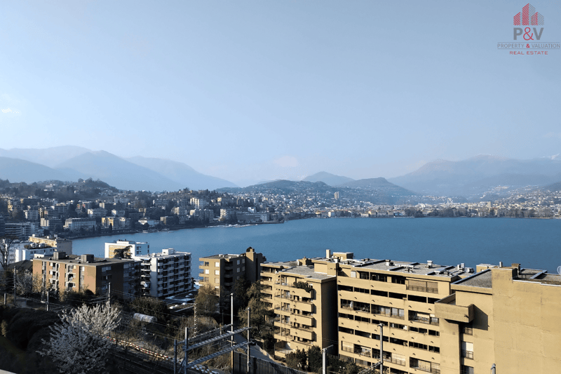 BELL'APPARTAMENTO 3.5 COMPLETAMENTE RIATTATO A PARADISO (8)