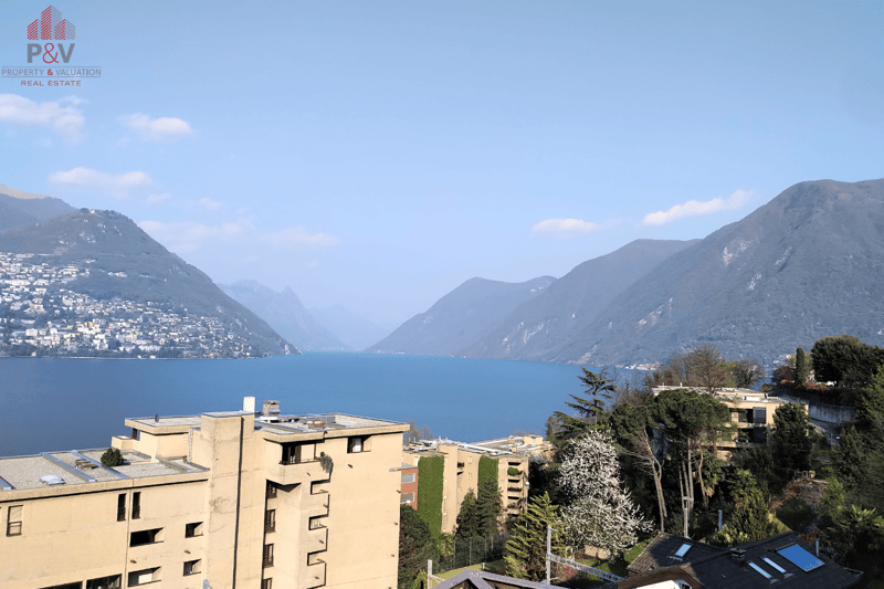 BELL'APPARTAMENTO 3.5 COMPLETAMENTE RIATTATO A PARADISO (7)