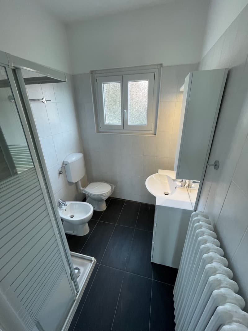 Appartements 2.5 und 3.5 komplett renoviert in Morbio Inferiore (10)