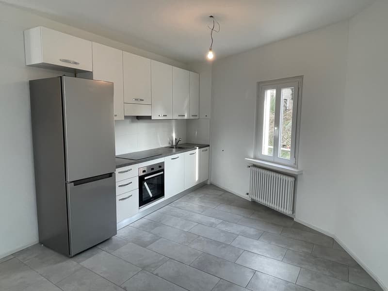 Appartements 2.5 und 3.5 komplett renoviert in Morbio Inferiore (7)