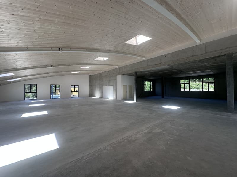 NEUESTES GEWERBEIMMOBEL VON 2670 MQ IN VACALLO (9)