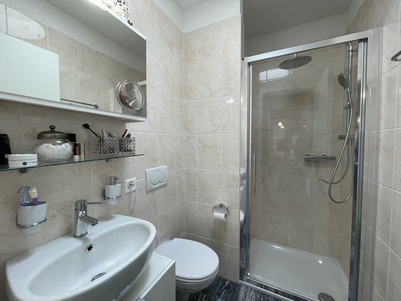 Elegantes Appartement 4.5 im letzten Stock mit zwei Abstellplätzen (10)