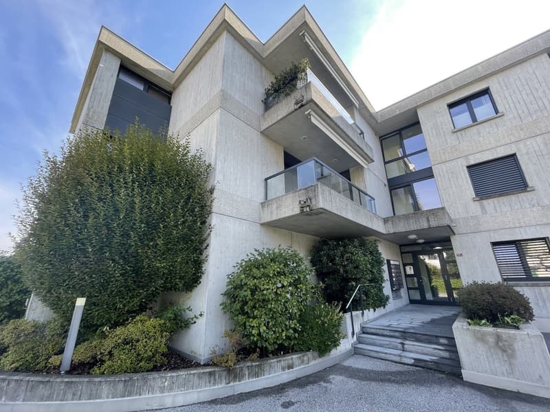 Elegantes Appartement 4.5 im letzten Stock mit zwei Abstellplätzen (12)