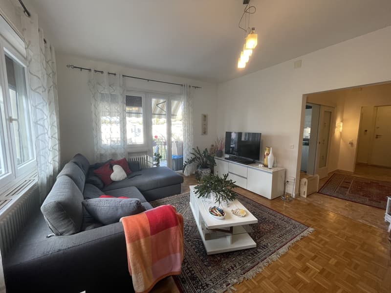 Schönes Einfamilienhaus 4.5 mit großem Garten (7)