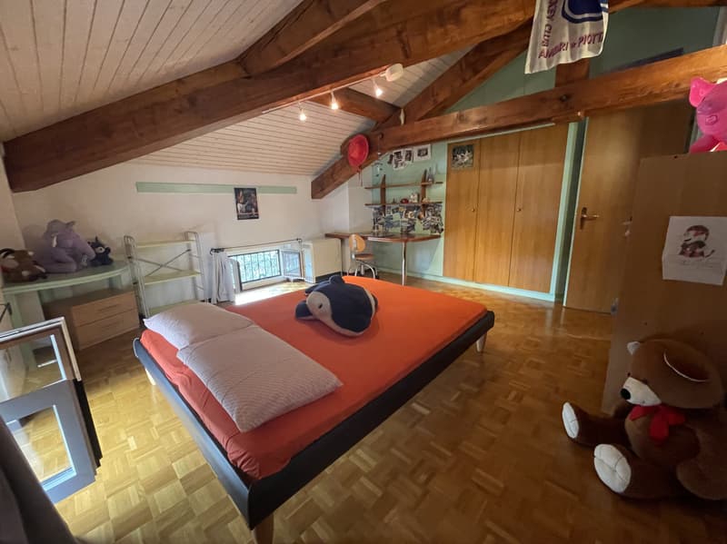 Beautiful and spacious house 5.5 with garden and double garage (12)