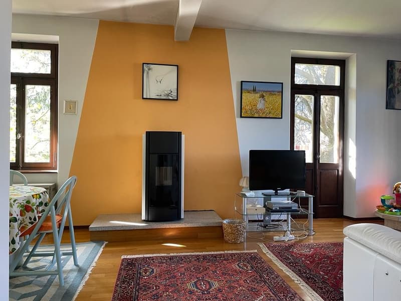 Beautiful and spacious house 5.5 with garden and double garage (8)
